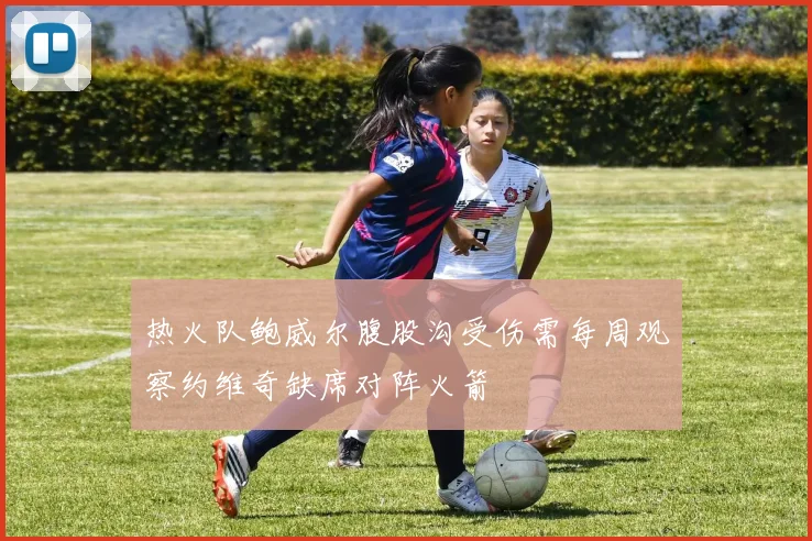 热火队鲍威尔腹股沟受伤需每周观察约维奇缺席对阵火箭