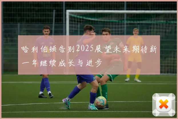 哈利伯顿告别2025展望未来期待新一年继续成长与进步