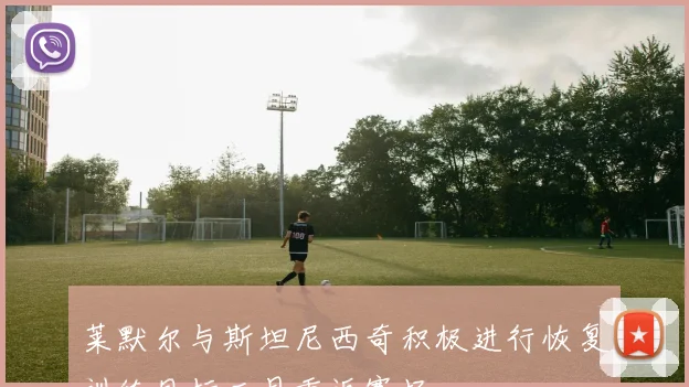 莱默尔与斯坦尼西奇积极进行恢复训练目标二月重返赛场