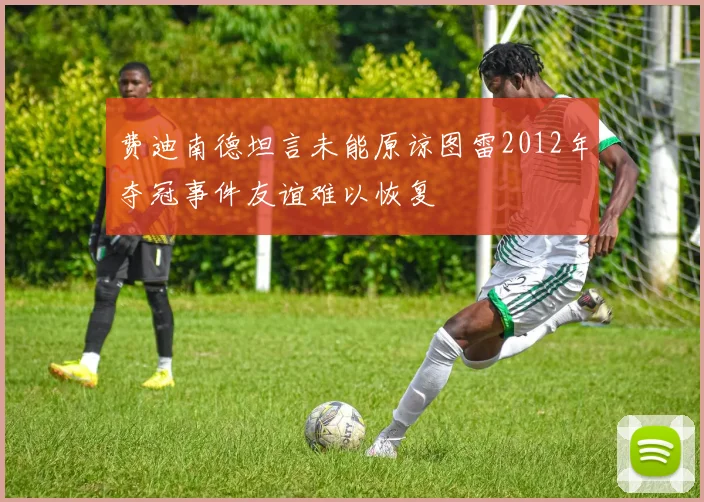 费迪南德坦言未能原谅图雷2012年夺冠事件友谊难以恢复