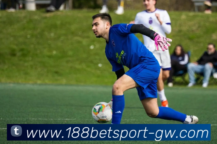 瑞士天空报道那不勒斯冬窗计划租借梅努以增加其出场机会