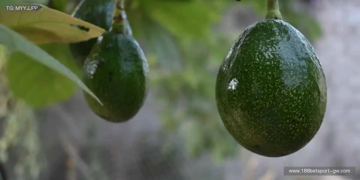 运动灵感触手可及，周边好物等你发现！🎁